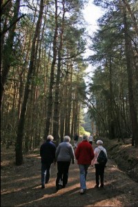 20walkersinkinneilwoods-rgb-300dpi