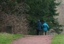 Walkers in Kinneil Woods