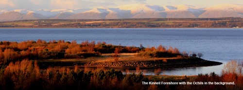 481630_449473541756686_2081235267_n