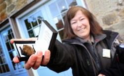 lesley-sweeney-with-bat1