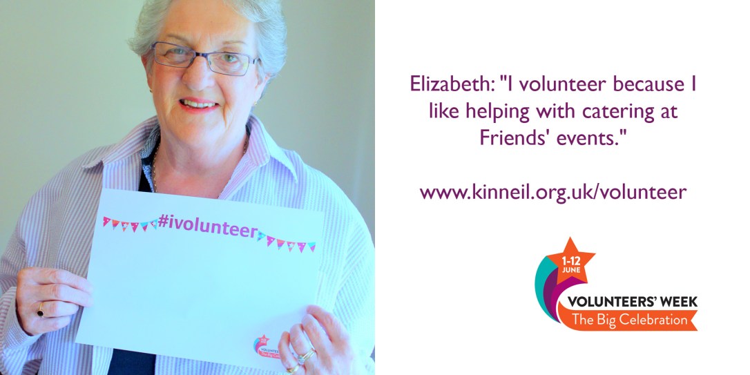 volweek-plug1-twitter1